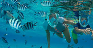 Lặn ống thở (Lặn snorkeling)