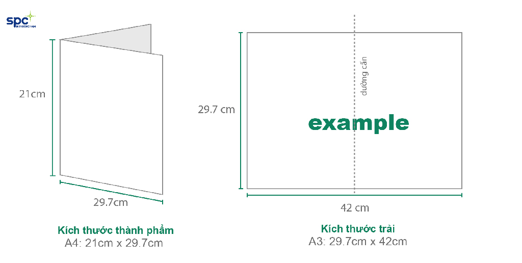 Đây loại kích thước brochure phổ biến hiện nay